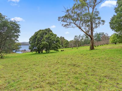 73 Esperance Coast Road, Surges Bay