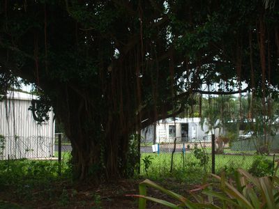 18 Illich Street, Kurrimine Beach