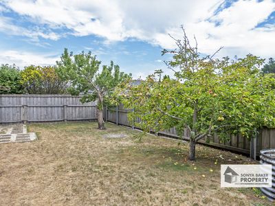 107 Old Bass Highway, Wynyard