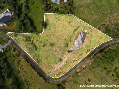 25 Kakapo Street, Saint Leonards