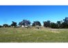 - Bowan Park Road, Orange