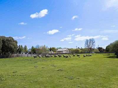 5 Franklin Street, Campbell Town