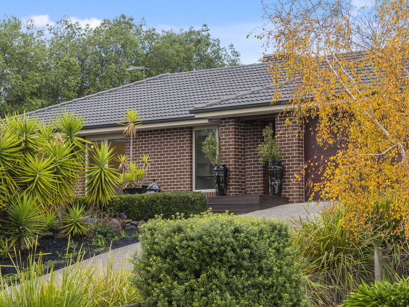 11 Alcheringa Court, Gisborne