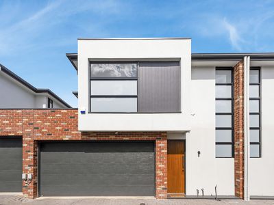 3 / 45 Newton Road, Newton