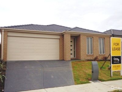 20 Black Gum Crescent, Cranbourne West