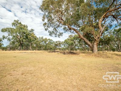 873 Polhill Road, Wellingrove