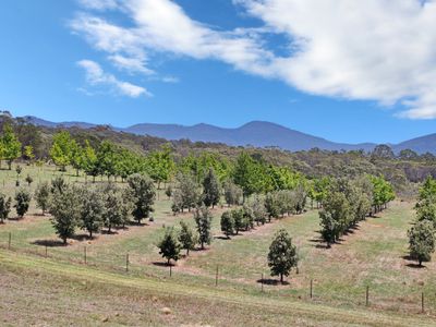 760 Wallaces Gap Road, Braidwood