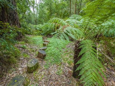 9 Devonshire Lane, Mount Macedon