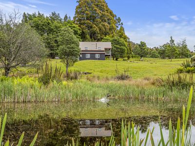 338 Dulcia Road, Gordon
