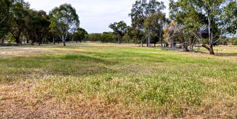 291 Walters Road, Euroa