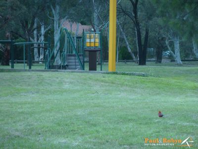 54 Michie Street, Wanniassa