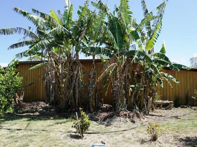 37 Villella Road, Tolga