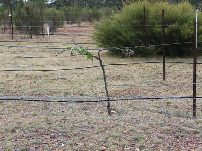 Lot 1  Tait Hamilton Road, Gobarup