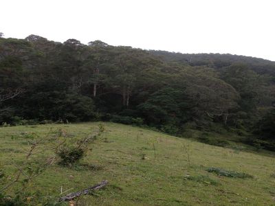 L204 Browns Road, Maleny