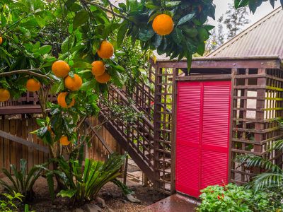 10 / 78 Cecil Street, Nimbin