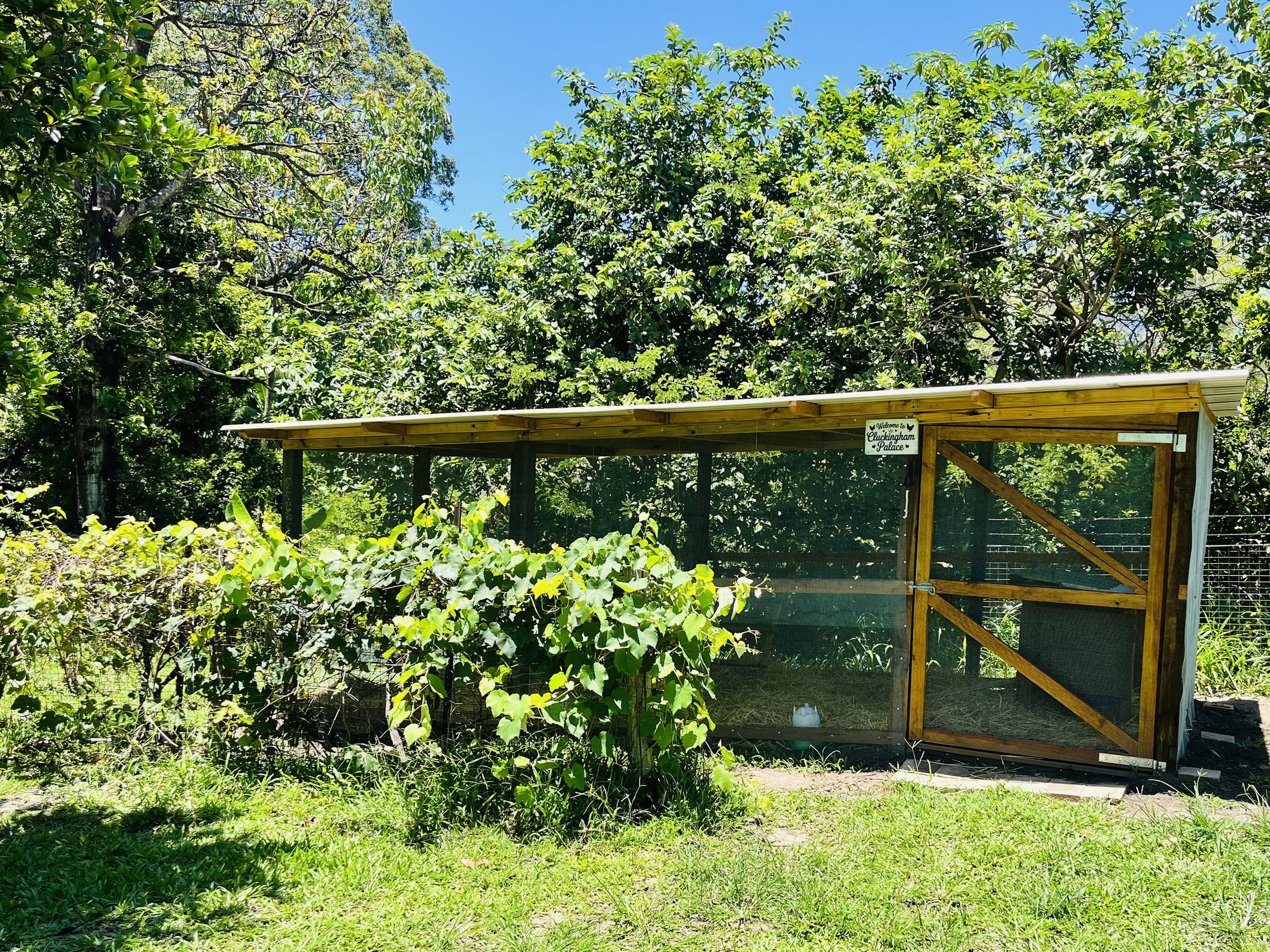 77 Summit Road, Pomona