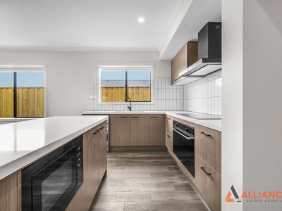 3 Cheddar Street, Donnybrook