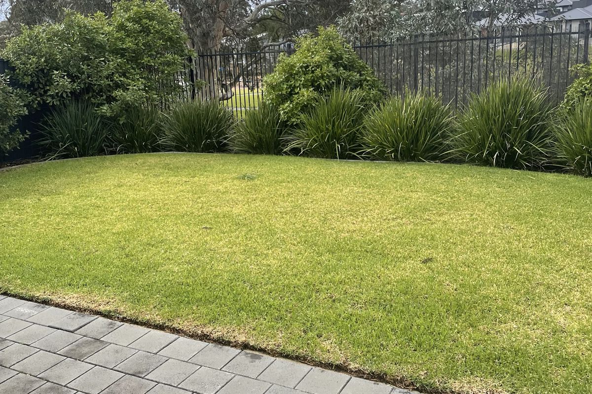 31 Clover Court, Mount Barker