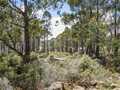 22 Arthurs Lake Road, Wilburville