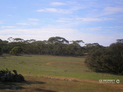 19 Goondooloo Road, Bowhill