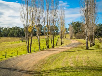 874 Cobargo Bermagui Road, Coolagolite