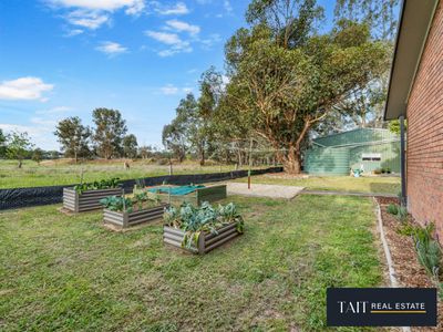 1370 Warby Range Road, Wangandary