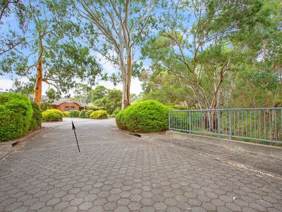 4 / 11 Thomas Drive, Happy Valley