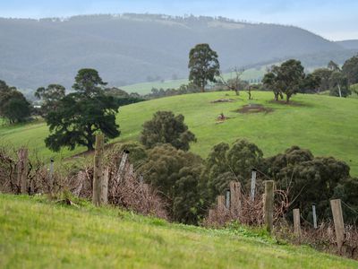 60 Greens Road, Arthurs Creek