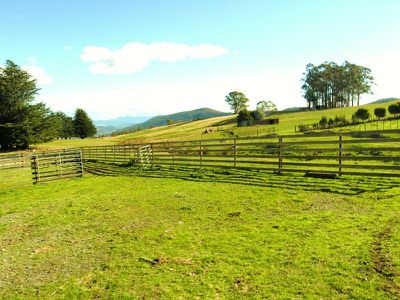 160 Coalmine Road, Kaoota