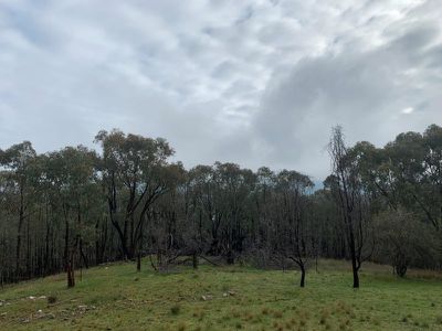 953 Brewers Road, Indigo Valley