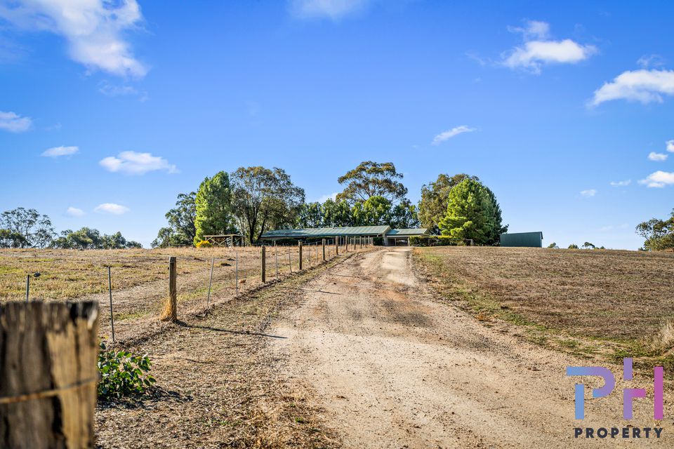 19 Trent Court, Axe Creek