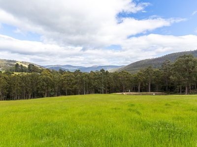 1775 Pelverata Road, Upper Woodstock