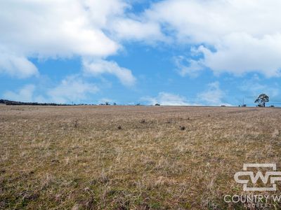 Lot Plain View South, 916 Emmaville Road, Glen Innes