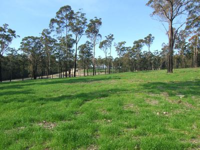 Lot 1, Grenenger Road, South Pambula