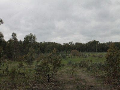 C / A 24 C/A 24 Eickerts Lane, Redcastle