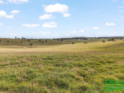4616 Trunkey Road, Arkell