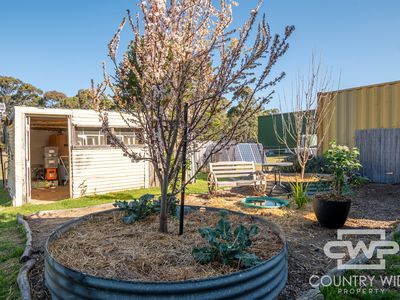 5368 Strathbogie Road, Emmaville