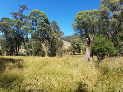 . Bullhead Road, Mitta Mitta