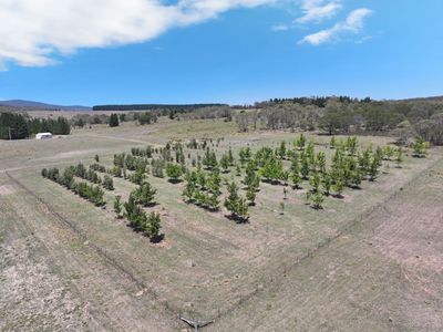 760 Wallaces Gap Road, Braidwood