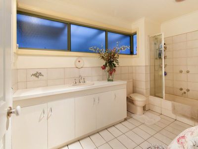 8 Fenton Ave, Rosebud