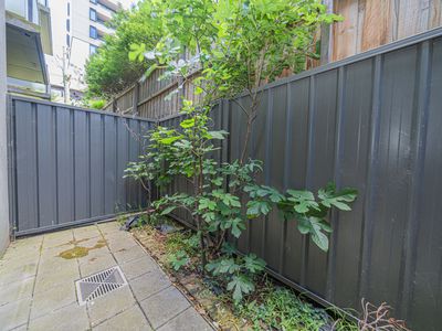 3 / 5 Archibald Street, Box Hill