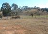 Lot 15 Kite Street, Molong