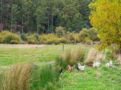 6929 Huon Highway, Dover