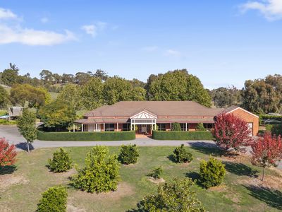 12 Nazek Court, Whiteheads Creek