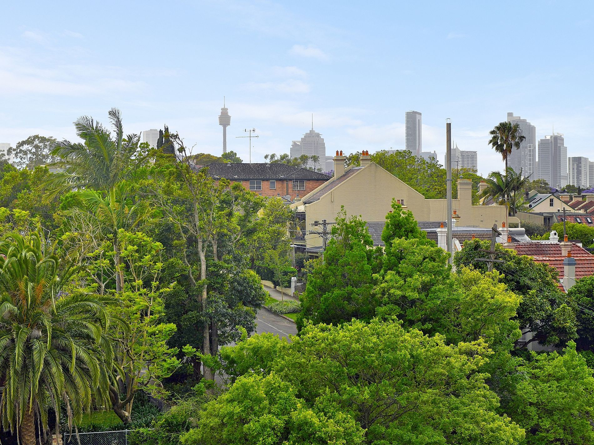 803 / 95 Ross Street, Forest Lodge