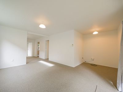 7 / 19 William Street, Dunedin Central