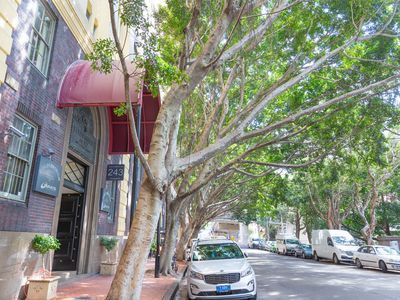 923 / 243 Pyrmont Street, Pyrmont