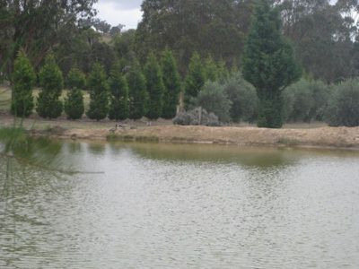 1810 Merriang Road, Beveridge