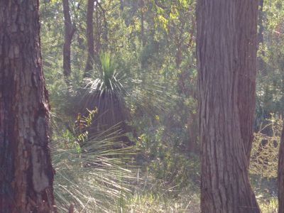 390 Robinson Road, Mahogany Creek