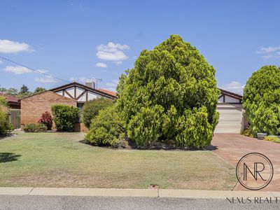 11 Sheldrake Way, Willetton